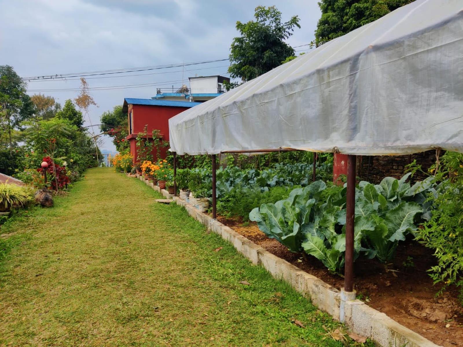 Himalaya Serene View Guest House & Farm Stay Deorāli Exterior photo