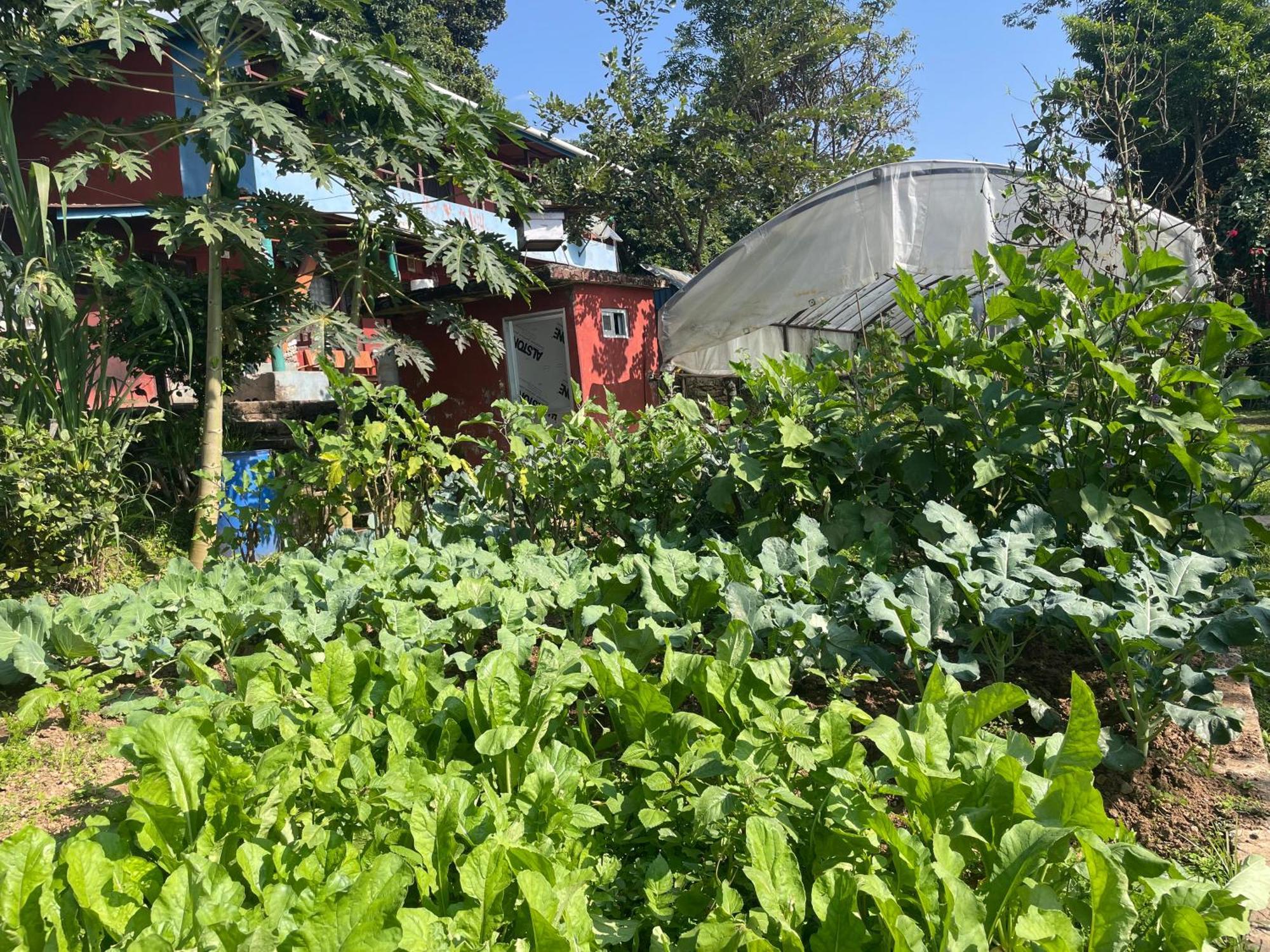 Himalaya Serene View Guest House & Farm Stay Deorāli Exterior photo