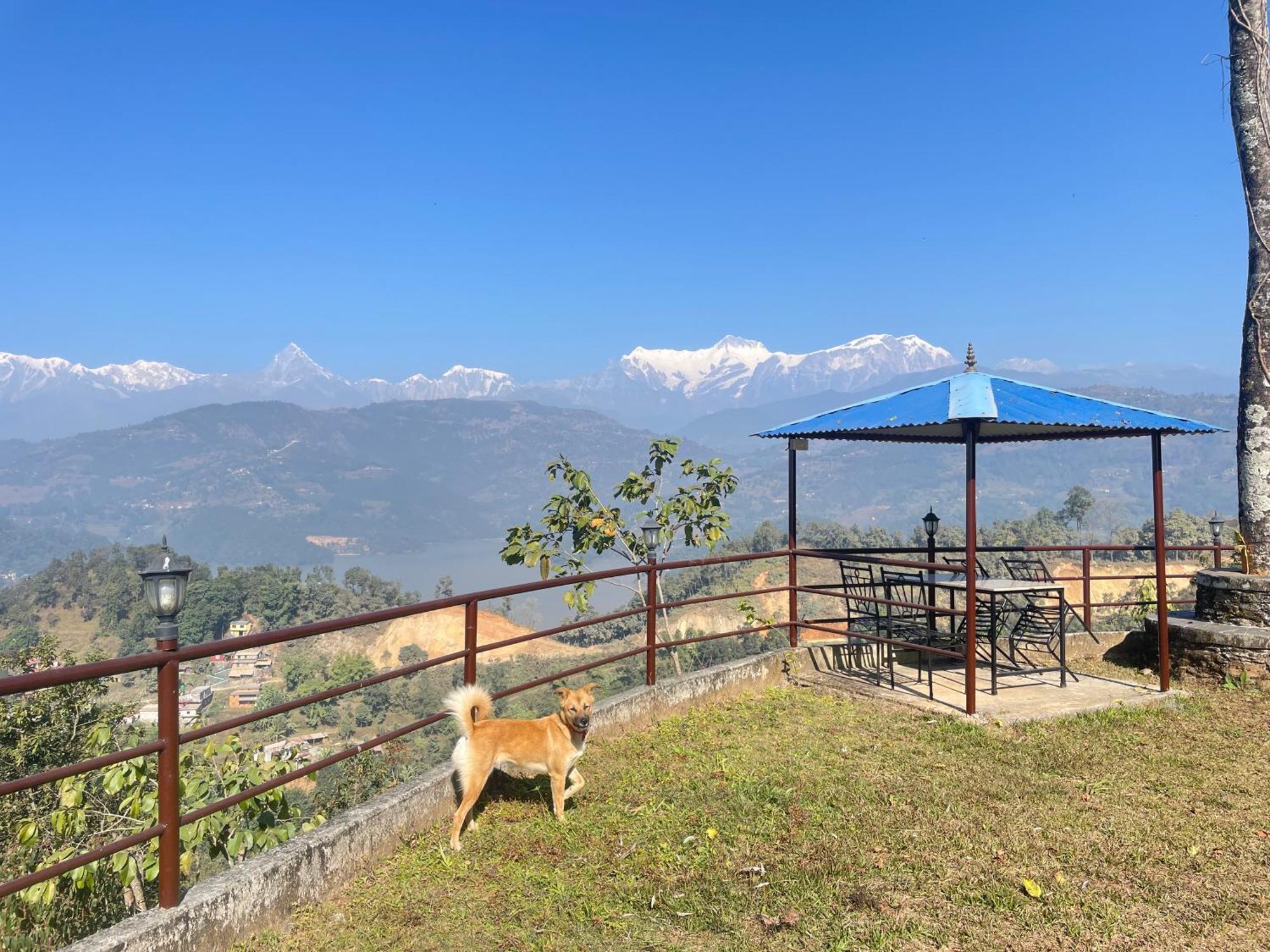 Himalaya Serene View Guest House & Farm Stay Deorāli Exterior photo