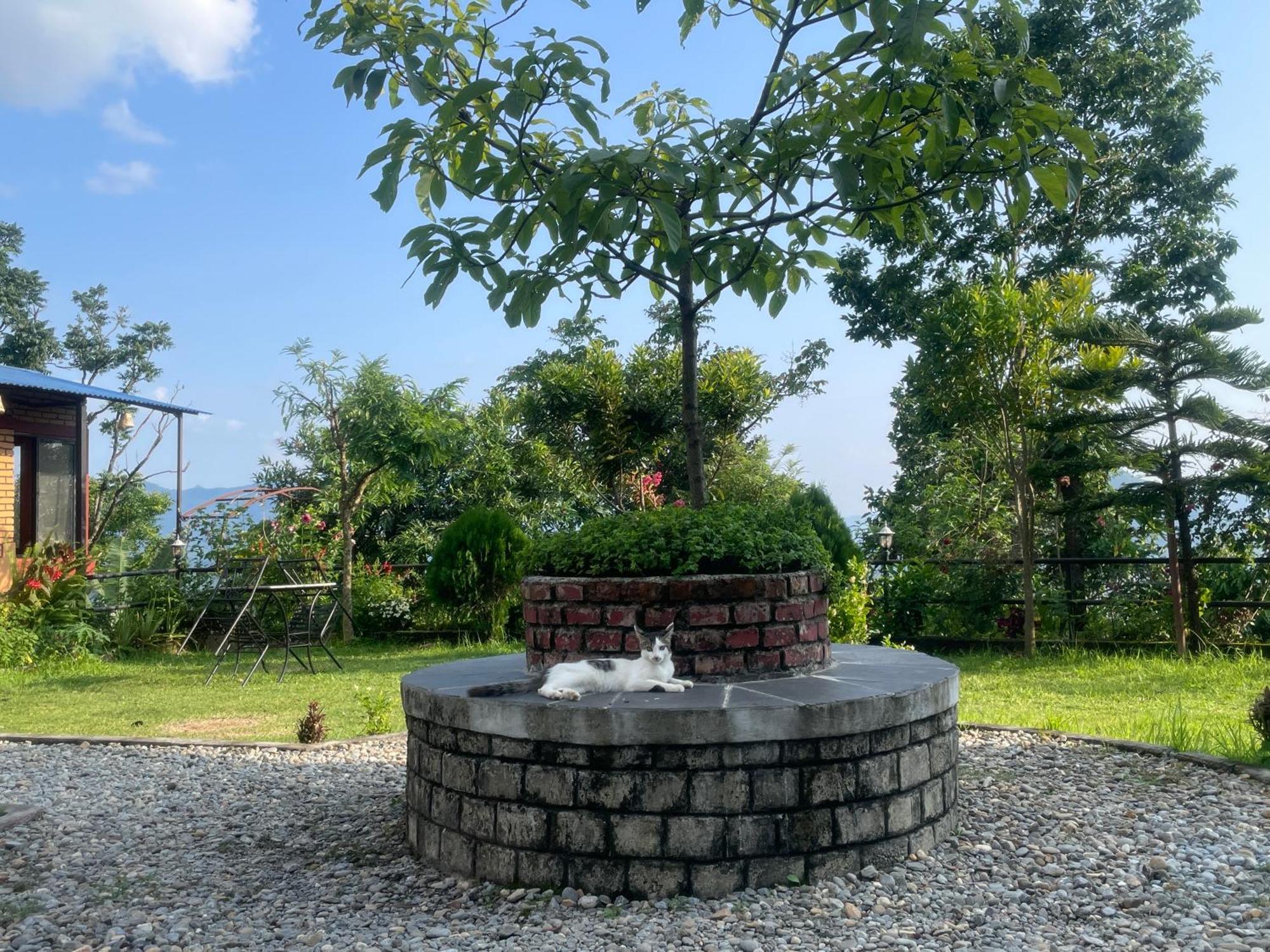Himalaya Serene View Guest House & Farm Stay Deorāli Exterior photo